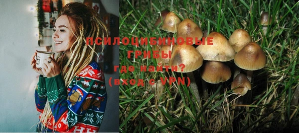 ешки Козловка