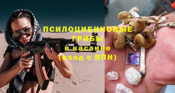 ешки Козловка