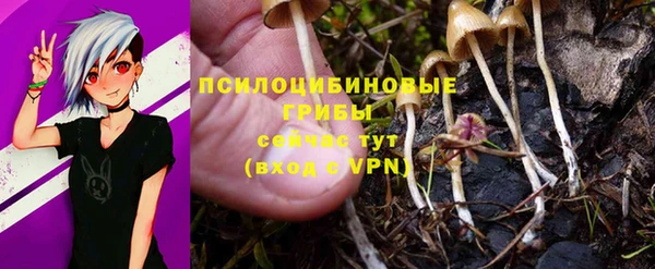 ешки Козловка