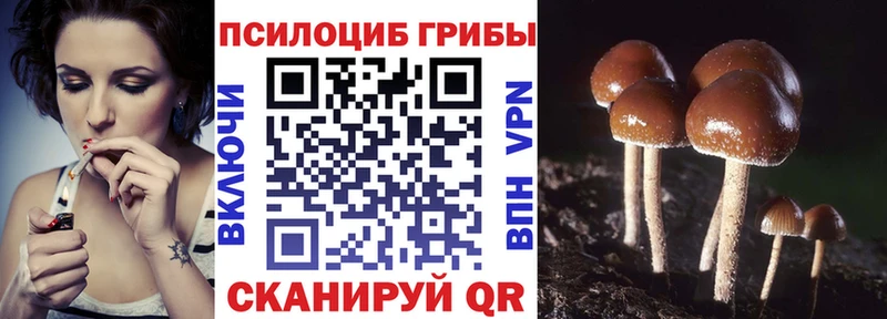 Галлюциногенные грибы Psilocybine cubensis  Купить где  Волжск 